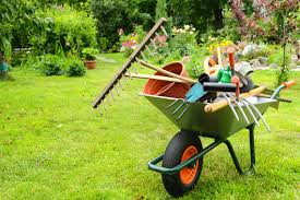 corso-manutentore-verde-coltivazioni agricole-manutenzione di parchi e giardini-roma 